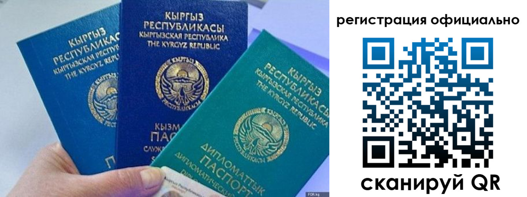 прописка в Новоузенске